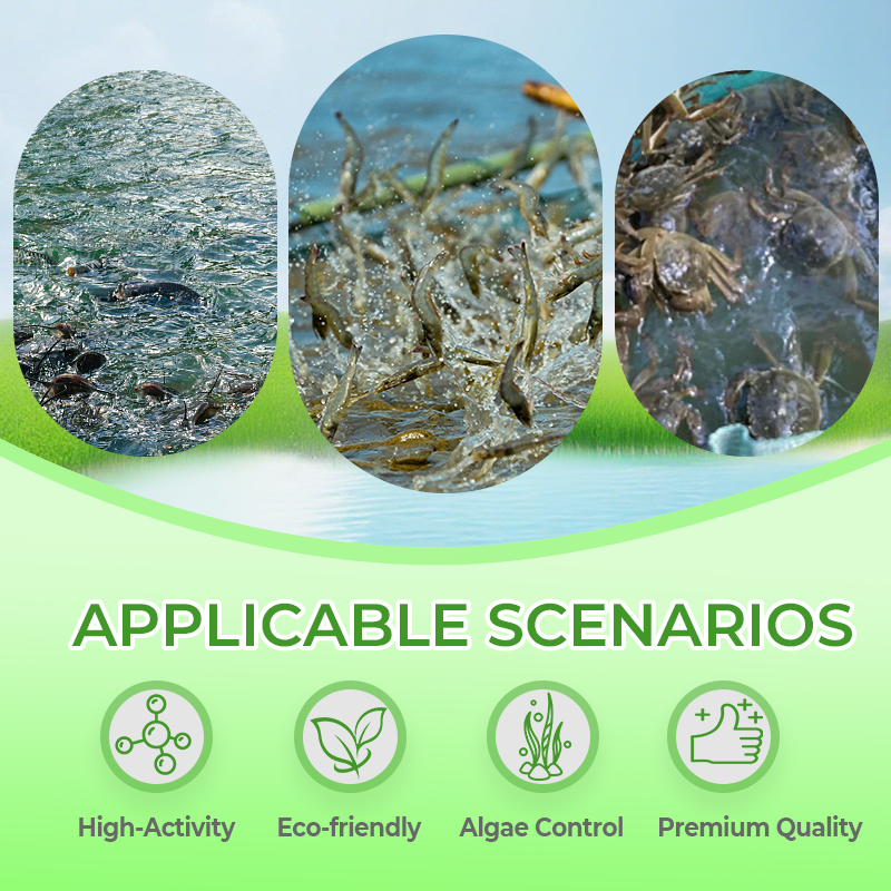 Polvo Aditivo para Alimento Mezclado 🐠🌿