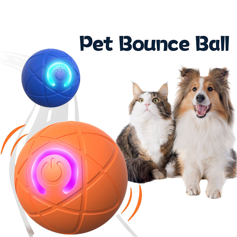 Smart Pet Bounce interaktiv bold