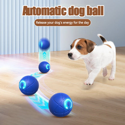 Smart Pet Bounce interaktiv bold