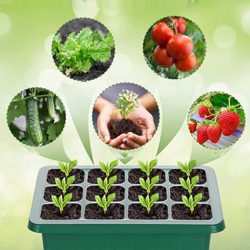 🌱 Bandejas de Cultivo con Luz de Crecimiento – Temporizador, Ajuste de Humedad, Drenaje, Ideal para Germinación de Semillas 50% OFF