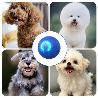 Smart Pet Bounce interaktiv bold