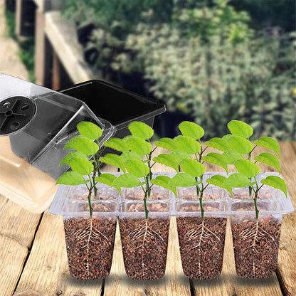 🌱 Bandejas de Cultivo con Luz de Crecimiento – Temporizador, Ajuste de Humedad, Drenaje, Ideal para Germinación de Semillas 50% OFF