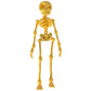 👻🎉Figura magnética de esqueleto vintage impresa en 3D🎃