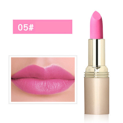 Barra de labios mate hidratante que no mancha