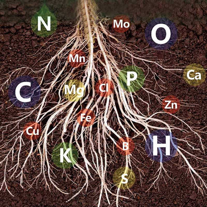 🥬Solución nutritiva de efecto rápido para plantas: se repone rápidamente, se vuelve fuerte, exuberante y verde.