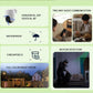 Waterproof 360° Smart Surveillance Camera with Full-color Night Vision