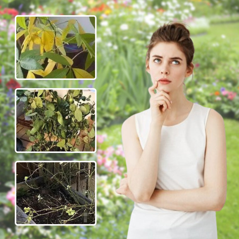 Universal Plant ＆ Solución líquida de activación floral