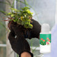 Universal Plant ＆ Solución líquida de activación floral