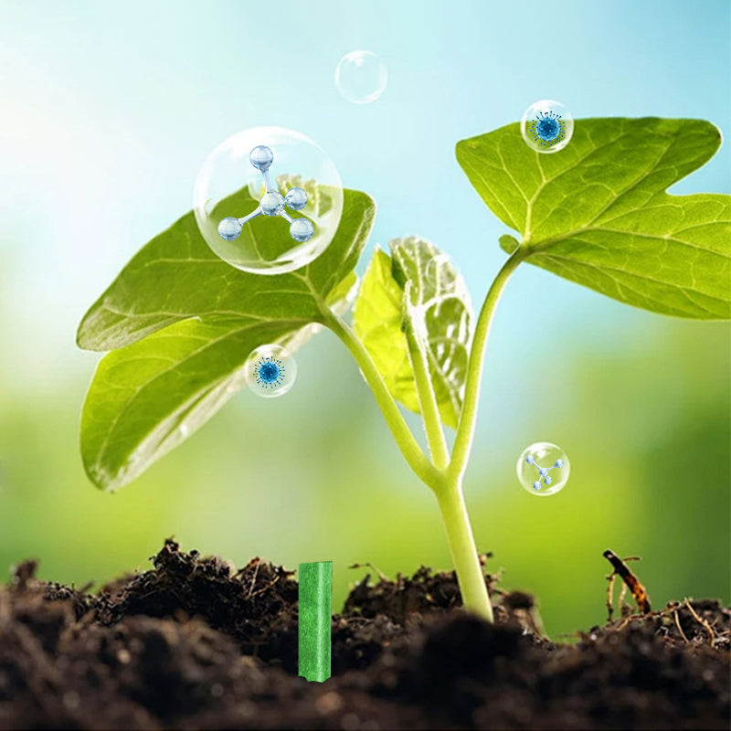 Barrillas Fertilizantes de Liberación Lenta para Plantas 💚🌿