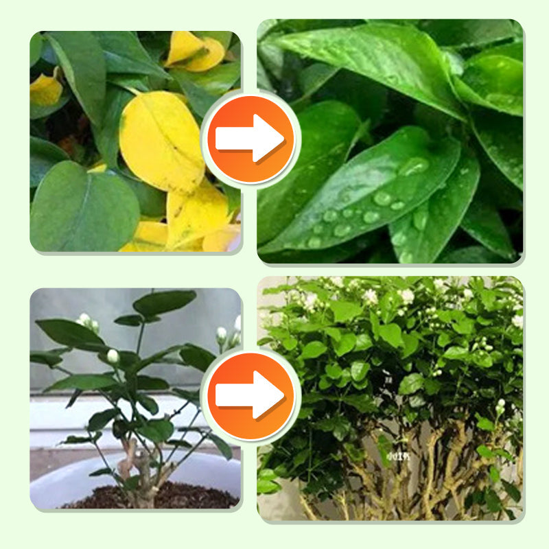 Barrillas Fertilizantes de Liberación Lenta para Plantas 💚🌿