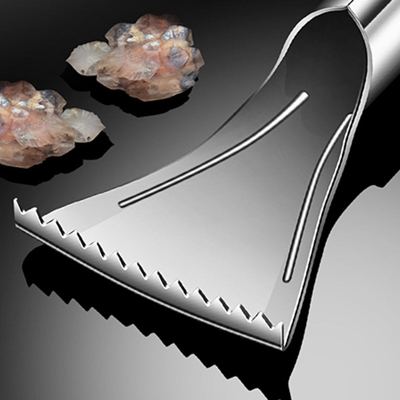 🔥HOT SALE🔥Escalador de pescado de acero inoxidable afilado