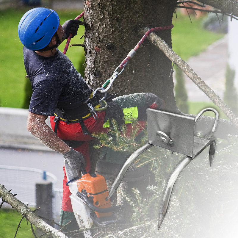 Juego de zapatos antideslizantes de uña de gato para escalar árboles al aire libre
