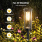 🎉Oferta especial 50% de descuento✨Luces solares para caminos al aire libre