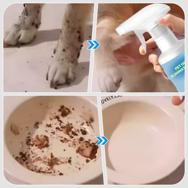 Spray til fjernelse af kæledyrslugt