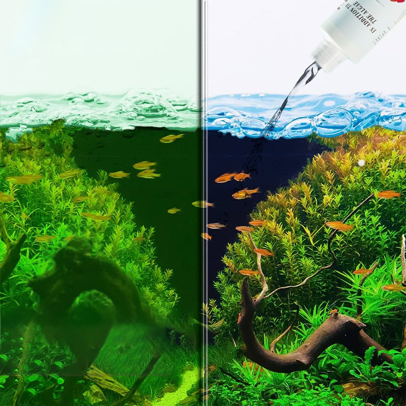 ⏳Limited time 50% OFF⏳Effective Algae Control for Aquarium
