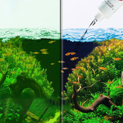 ⏳Limited time 50% OFF⏳Effective Algae Control for Aquarium