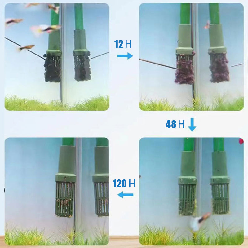 ⏳Limited time 50% OFF⏳Effective Algae Control for Aquarium