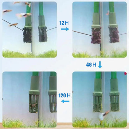 ⏳Limited time 50% OFF⏳Effective Algae Control for Aquarium
