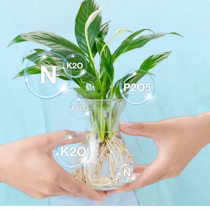 Solución nutritiva hidropónica para el crecimiento de las plantas💧💦