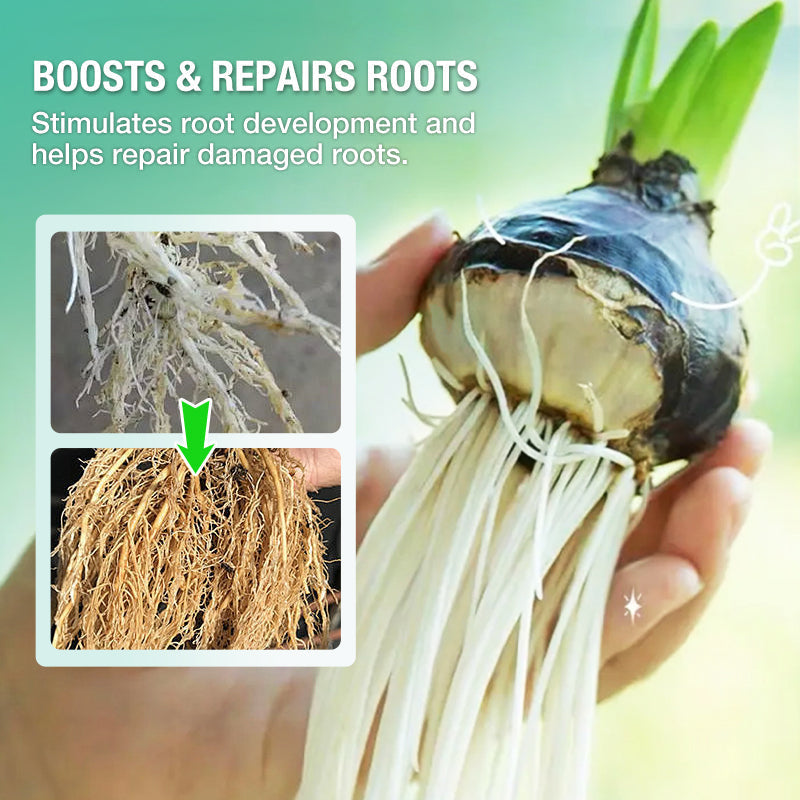 Solución nutritiva hidropónica para el crecimiento de las plantas💧💦