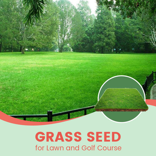 Semillas de césped para jardines y campos de golf
