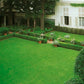 Semillas de césped para jardines y campos de golf