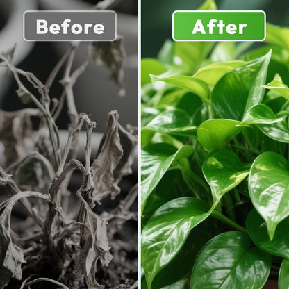 🔥Fertilizantes con microorganismos beneficiosos