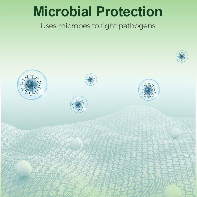 🔥Fertilizantes con microorganismos beneficiosos