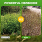 Potente herbicida con 2,4-D y glifosato