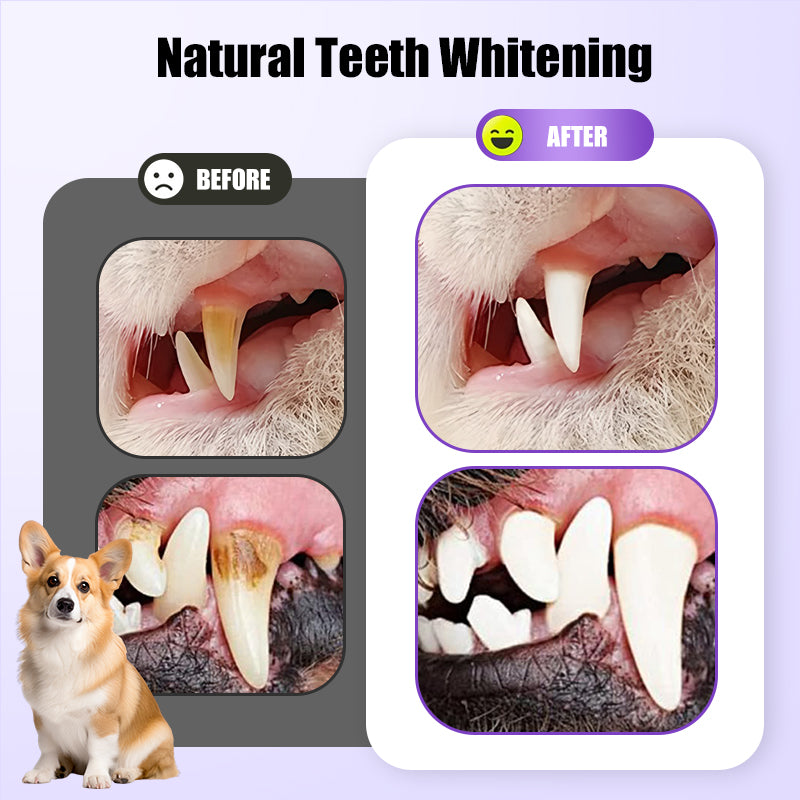 🐶Fresh Breath mundplejemousse til kæledyr😸