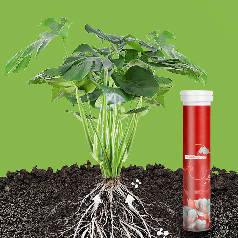 Tabletas de Fertilizante de Liberación Lenta Multiusos para Plantas