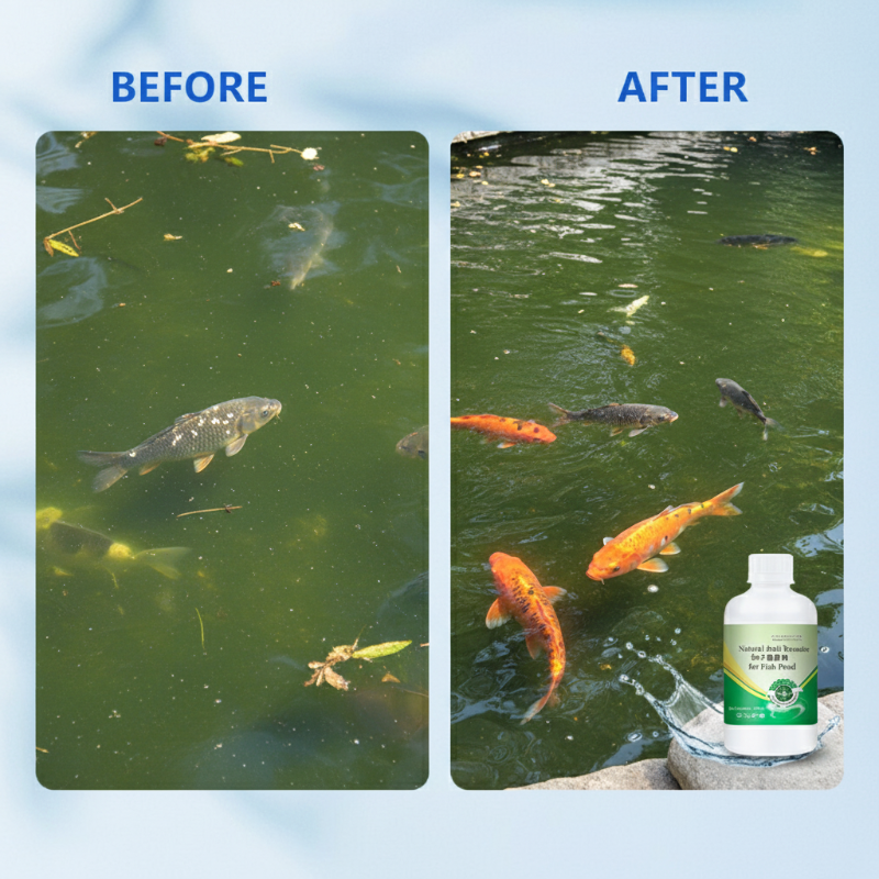Anti-Parásitos Natural para Estanques 250ml 🐟💚🚫
