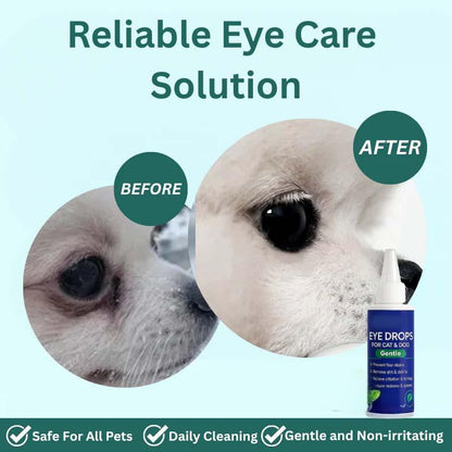 Gotas Oculares para Perros y Gatos 🐕🐈👁️