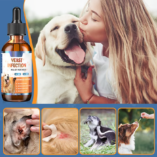 Tratamiento Natural para Infecciones por Levaduras en Perros 🐕‍🦺🌿💫
