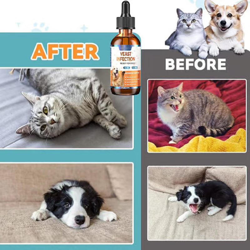 Tratamiento Natural para Infecciones por Levaduras en Perros 🐕‍🦺🌿💫