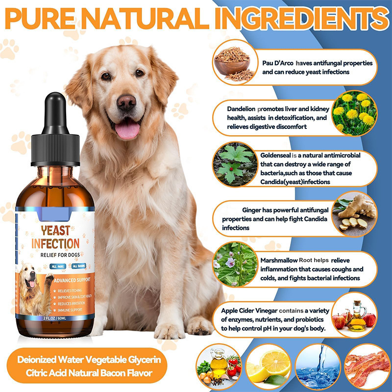 Tratamiento Natural para Infecciones por Levaduras en Perros 🐕‍🦺🌿💫