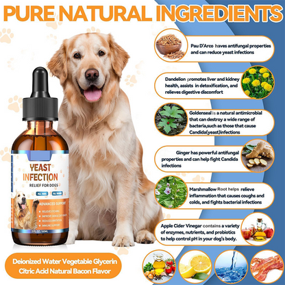 Tratamiento Natural para Infecciones por Levaduras en Perros 🐕‍🦺🌿💫