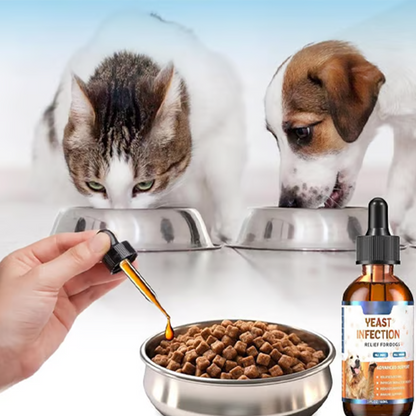 Tratamiento Natural para Infecciones por Levaduras en Perros 🐕‍🦺🌿💫