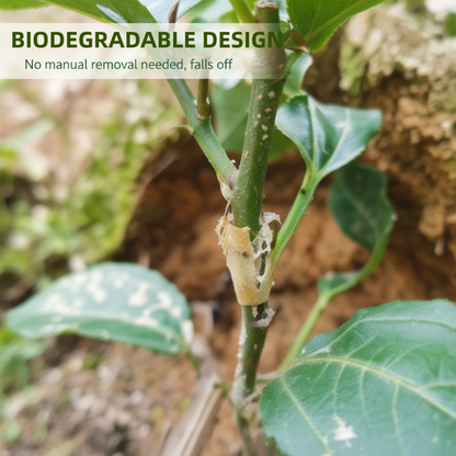 🌳Fundas de injerto de silicona de 50 piezas para árboles frutales🌳