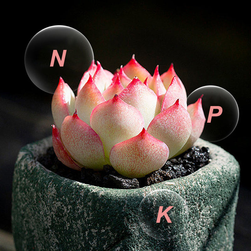 Tabletas de Fertilizante de Liberación Lenta Multiusos para Plantas